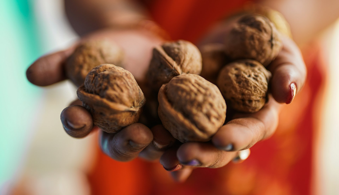 brown and black round fruits