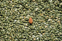 unsplash_J8_U_vokuKk_Pumpkin seeds.jpg.webp