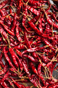 unsplash_Ia40W5jhINA_Chilly .webp