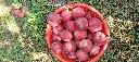 IMG20240929103045.webp