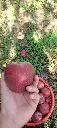 IMG20240929103109.webp