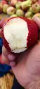 IMG20241003111459.webp