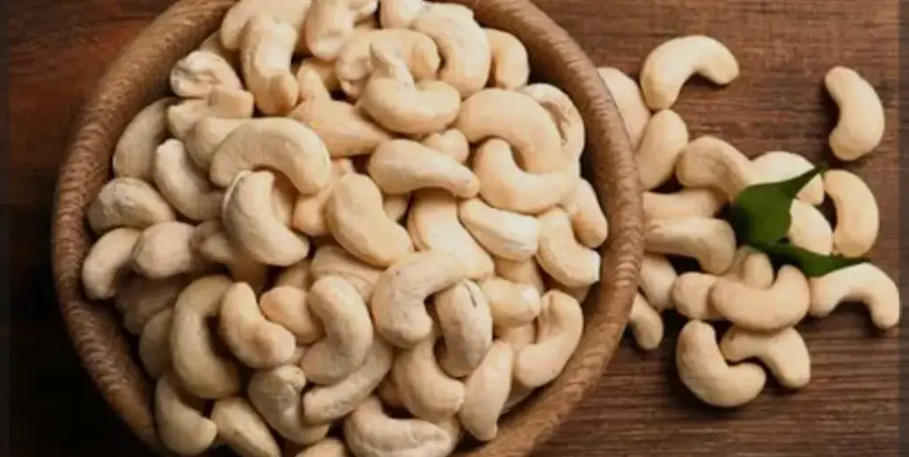 Cashew 